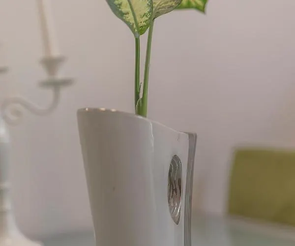 Neve St Apartamento Split